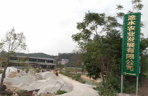 茂名展示厅音响工程案例-【丝瓜视频看污片】